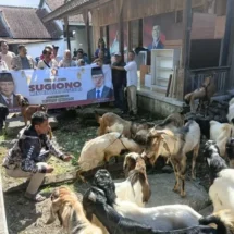 Gerindra Salatiga Salurkan 32 Kambing dan 1 Sapi Kurban untuk Masyarakat