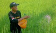 Pengusaha Muda NTB Dorong Generasi Milenial Fokus ke Usaha Riil