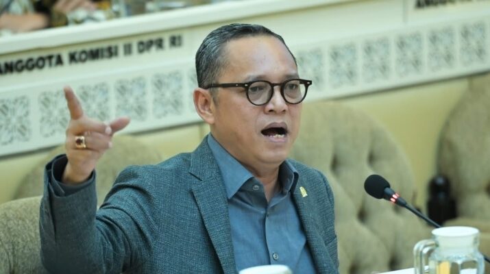 Anggota Komisi II DPR RI, Deddy Sitorus, ist