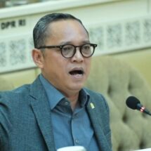 Anggota Komisi II DPR RI, Deddy Sitorus, ist
