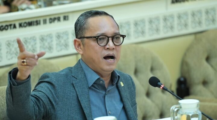 Anggota Komisi II DPR RI, Deddy Sitorus, ist