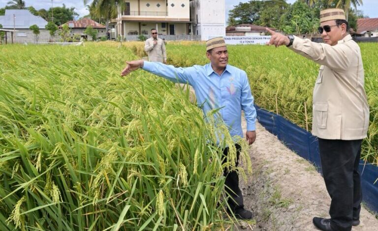 Presiden Prabowo: Saya Terus Berjuang agar Pembangunan Berpihak kepada Rakyat Kecil