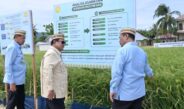 Di PENAS XVII, Presiden Prabowo Tinjau Teknologi Pertanian Modern di Gorontalo, Optimistis Indonesia Jadi Lumbung Pangan Dunia