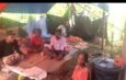 Rumah Harapan Melanie Subono Bantu Warga Terdampak Gempa di Manggarai