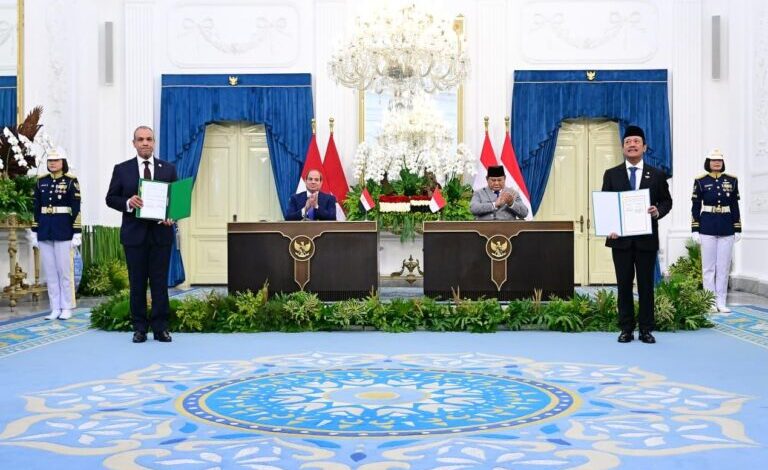 Presiden Prabowo Dorong Penguatan Kerja Sama Pendidikan Indonesia-Mesir, Beasiswa hingga Pertukaran Mahasiswa Diperluas