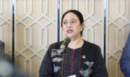 Puan Minta Pemerintah Perkuat Perlindungan Warga Terdampak Karhutla