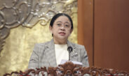Karhutla Ganggu Penghidupan, Puan Minta Dukungan bagi Warga