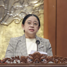 Karhutla Ganggu Penghidupan, Puan Minta Dukungan bagi Warga