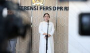 Kasus DBD Naik, Puan Dorong Peran Puskesmas dan Kader Jumantik Diperkuat